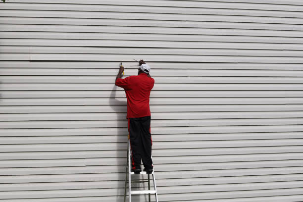 Best Insulated Siding Installation  in Barclay, NJ