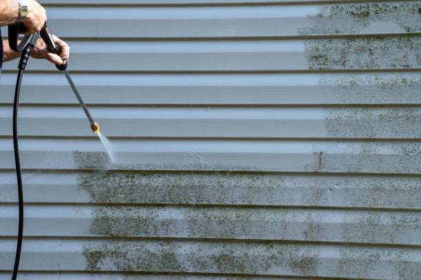Best Stone Veneer Siding  in Barclay, NJ