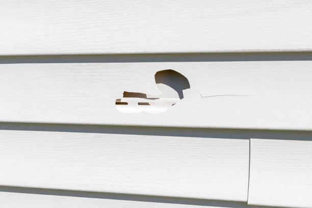 Best Storm Damage Siding Repair  in Barclay, NJ