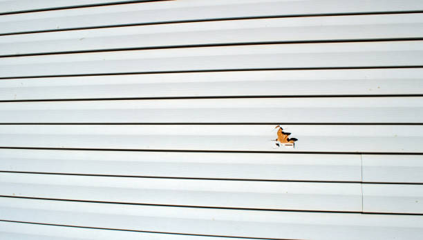 Best Siding for New Construction  in Barclay, NJ