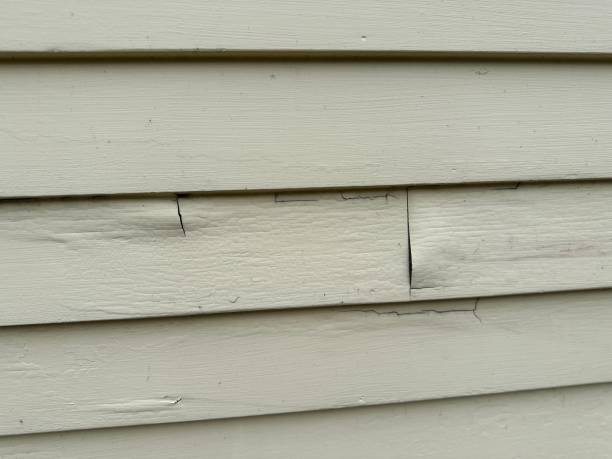 Best Brick Veneer Siding  in Barclay, NJ